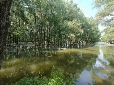 Сибирский Характер - 75