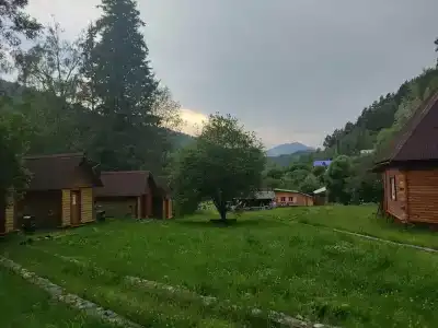 Таловский лог - 51