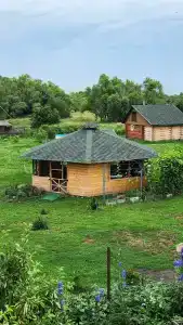 В деревушке на опушке - 28