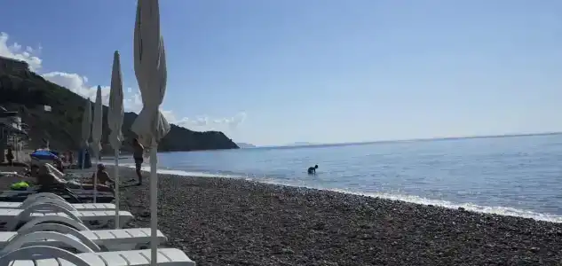 OAI Beach Resort - 37