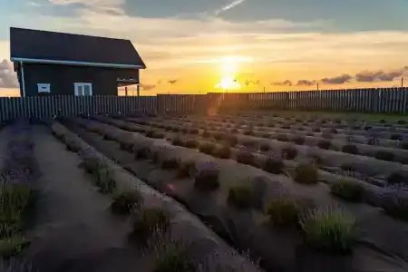 Веселовка Парк - 3