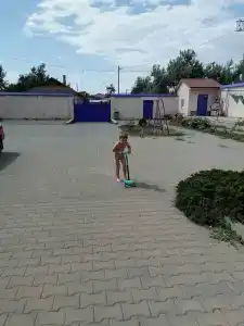 Розовый Фламинго - 14