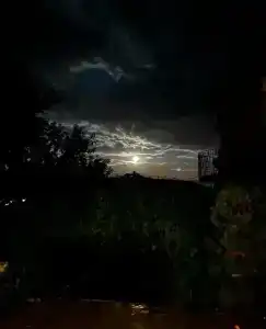 Александра - 8