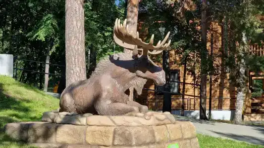 Бунчук - 7