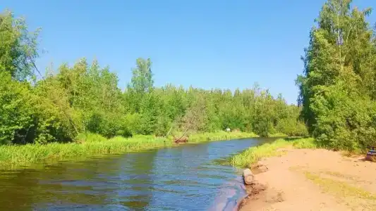 Лосево - 36
