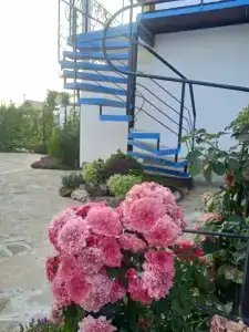 Дельфи - 19