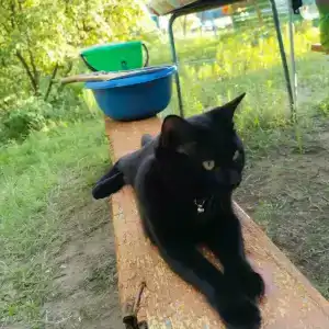 Бодрость - 73