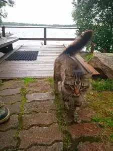 Длинный берег - 57