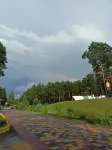 Пралеска - 10