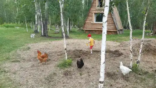 Веселая ферма - 41
