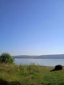 Искра - 49