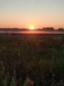 ПолеДом - 87