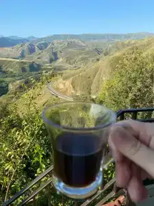 Пение птиц - 36