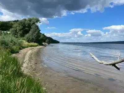 Заповедник - 19