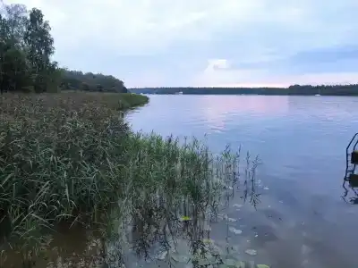 Пикник клуб - 7