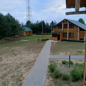 Зеленый Бор - 7