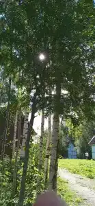 К-значит Карелия - 69