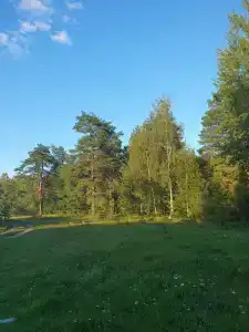 Тёша - 8