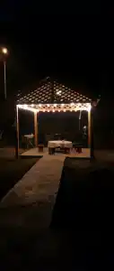Forest camp - 15