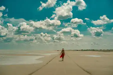 Тихий берег - 45