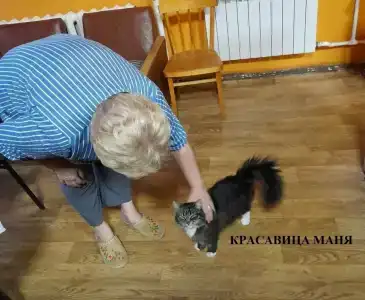 Волхов - 32