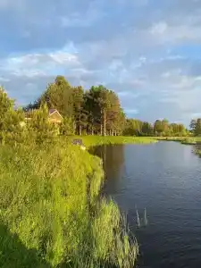 Челмужская усадьба - 91