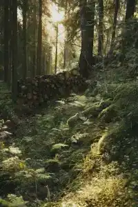 Villy Uley Karelia (Вили Улей Карелия) - 1