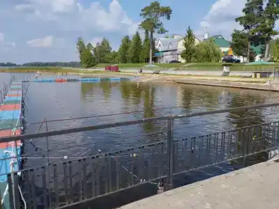 Росинка - 30