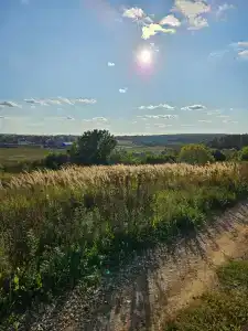 Усадьба Папино - 47