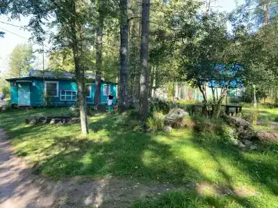 Рябинушка - 5