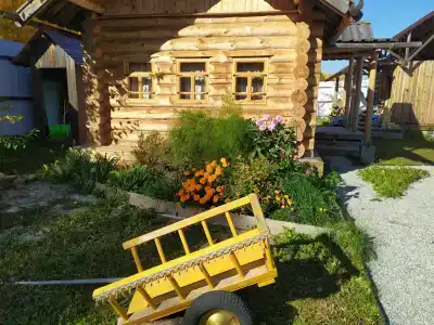 Солонь - 1