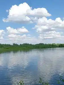 Донская весна - 33