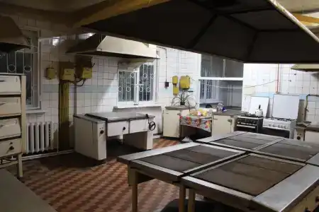 Хоста - 11