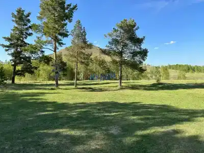 Нурали - 24