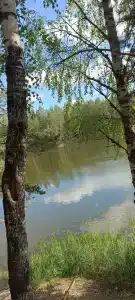 Чёрное озеро - 22