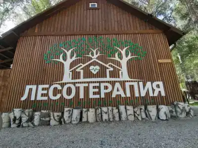 Лесотерапия - 43