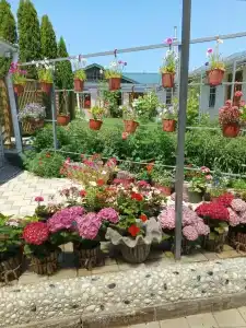 Морское Небо - 41