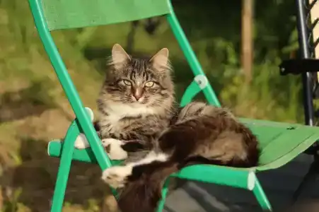 Глэмпинг  Прованс - 87