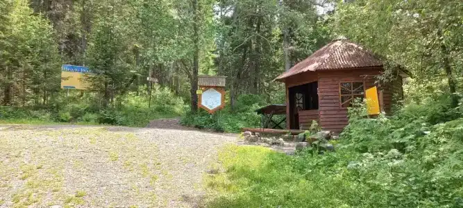 Таловский лог - 37
