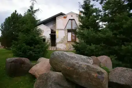 Рузмарин - 10