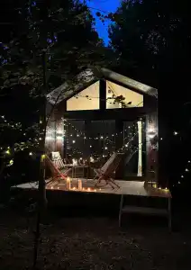 Сосны. Пространствие - 18