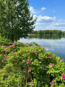 Спальный корпус Коверши - 23