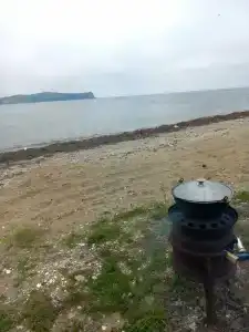 Зелёная полянка - 19