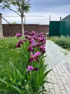Рыбное место - 28