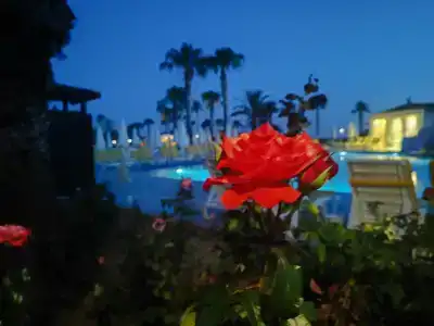 Justiniano Club Park Conti - 51