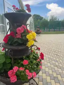 Белая Вежа - 12