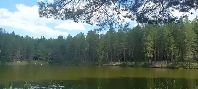 Чёрное озеро - 24