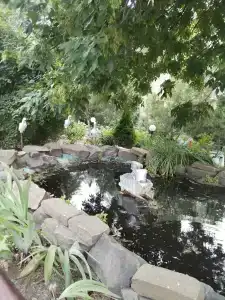 Веселый Маныч - 33