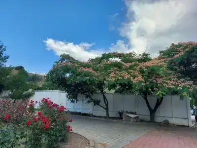 Крымская весна - 99