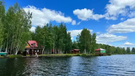 Березовый рай - 0